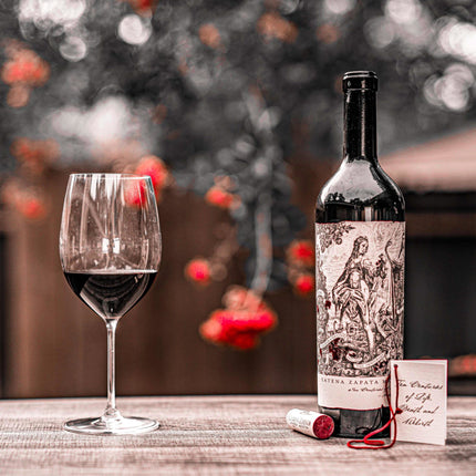 Combo 4 Vinos Tinto Catena Zapata Argentino Malbec, 750 ml