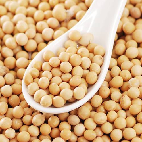 Porotos de Soja Elio, 500 g / 17,63 oz