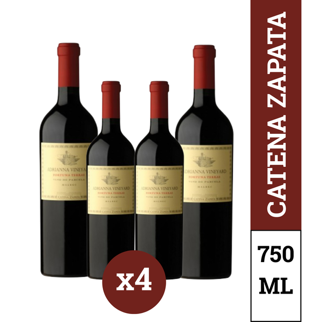 Vineyard Fortuna Terrae Malbec Pack x4 botellas 750 ml – vino tinto ícono argentino de Mendoza con notas de frutos rojos, violetas y especias.