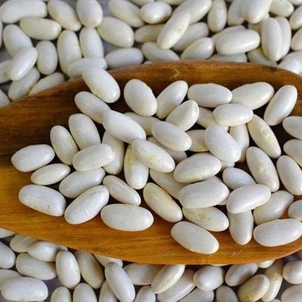 Porotos Alubia Elio, 500 g / 17,63 oz